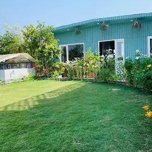 Vandana's New Delhi